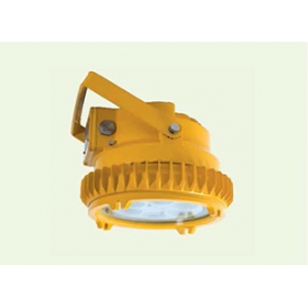 ĐÈN CHỐNG CHÁY NỔ WAROM - BDD95