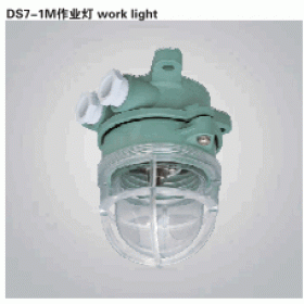 Đèn hành lang DS7